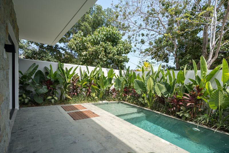 Garden villa in Bingin: pool among tropical planting