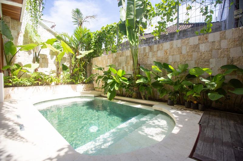 Three-bedroom villa in Canggu: pool surrounded by plants