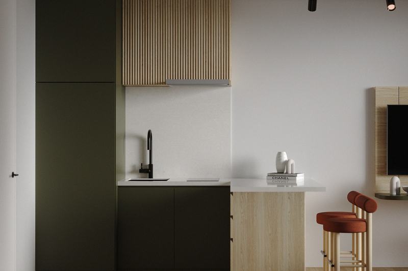 Elysium eco-city studio: kitchen with appliances