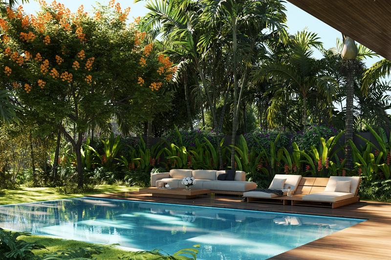 Flower Estates: pool, sunbeds and a flowering tree, render