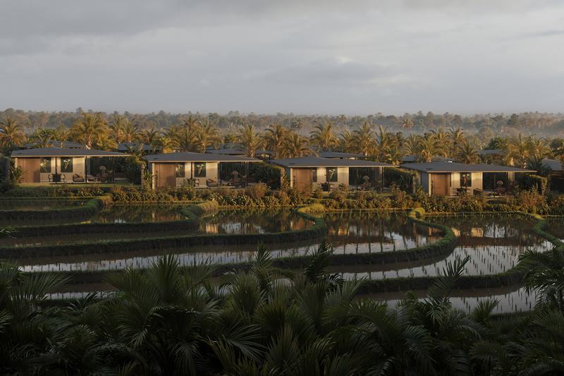 Flower Estates: row of villas above rice terraces, render