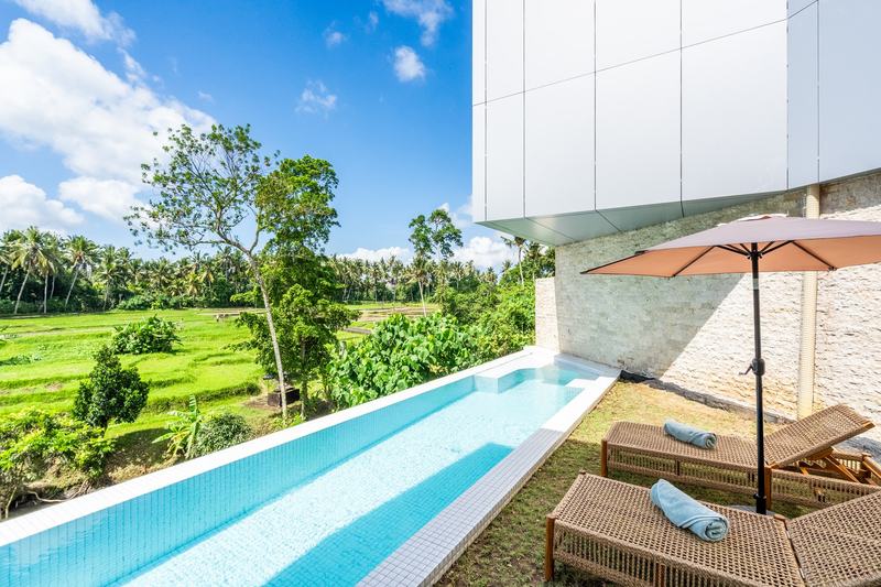 Hidden City Ubud: Losta villa pool facing the rice fields