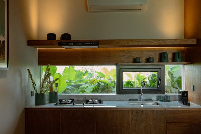 Nava Tamora: kitchen window facing the garden
