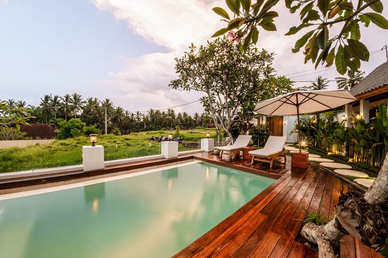 Sarang Dua: pool with a rice-field view