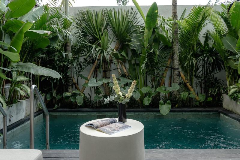 Sunny Nine: a townhouse's private pool in a green courtyard, from the developer's presentation