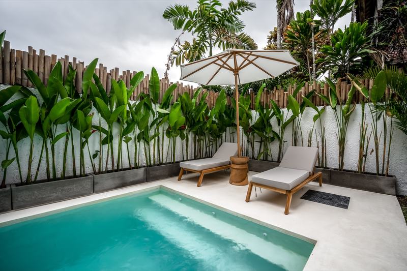 Tropical Tribe: pool and loungers under a parasol in the courtyard