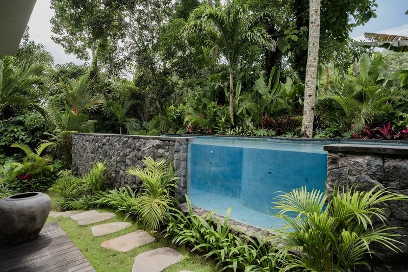 Three-bedroom villa north of Ubud: garden pool against palms and jungle