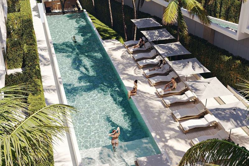 White Palm: shared pool with sun loungers