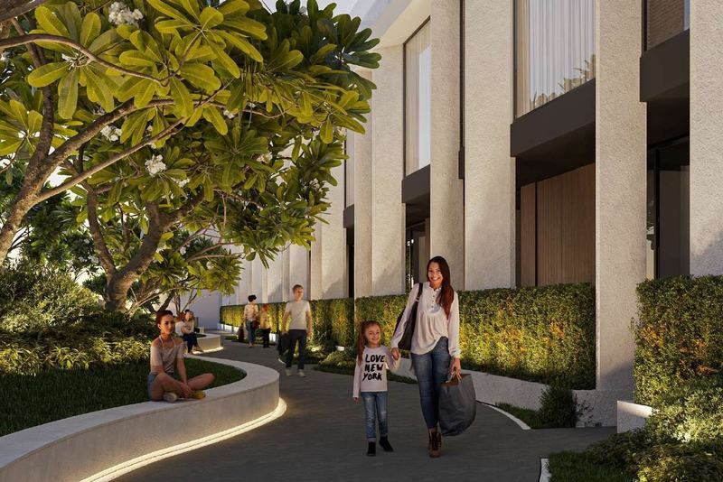 White Palm: path between the blocks