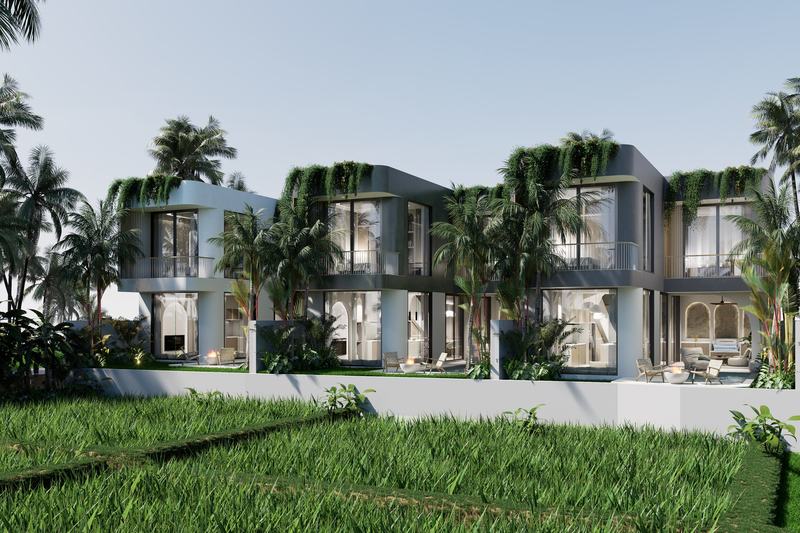 Zamaya: the row of villas seen from the rice fields