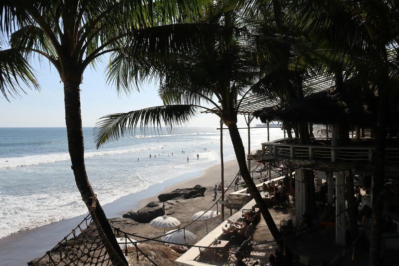 Palm trees and surf on a beach on a sunny day