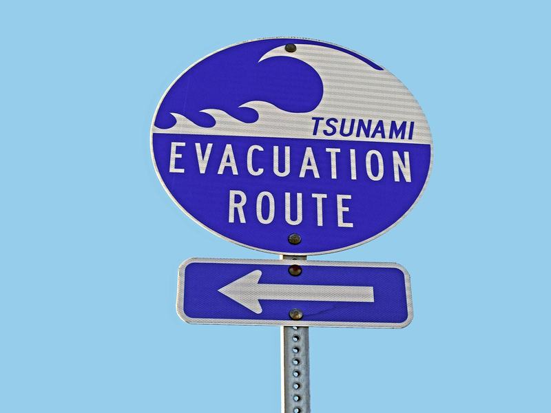Panneau bleu en bord de route indiquant un itinéraire d'évacuation en cas de tsunami, avec une flèche