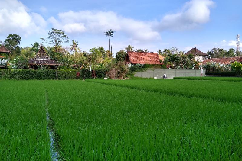 Bali land documents: certificate and lease agreement