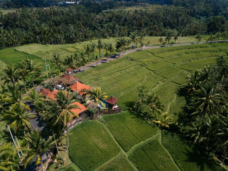 Bali coastline from above with villas and greenery