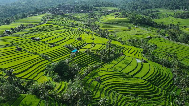 Tabanan, Bali