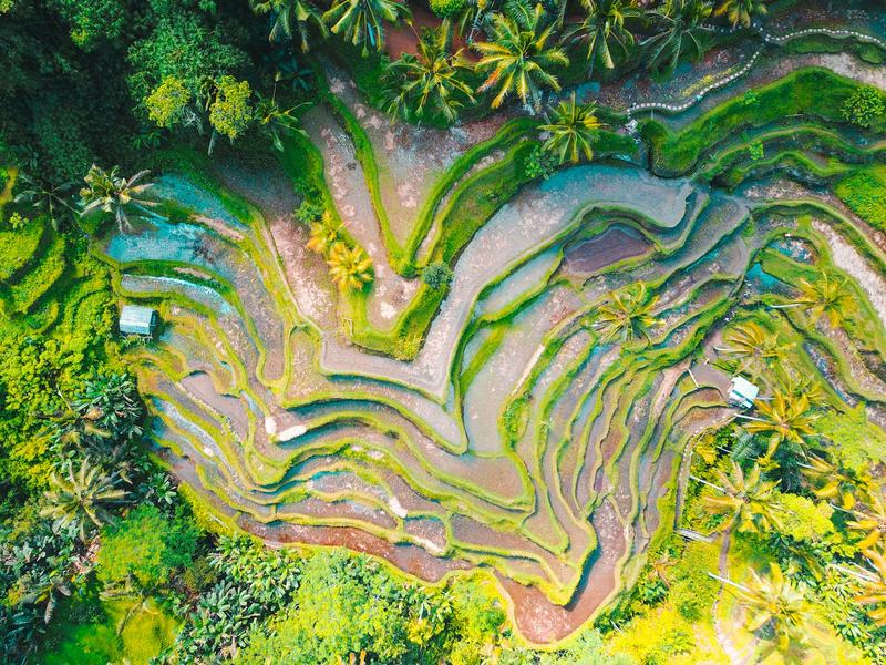 Ubud, Bali