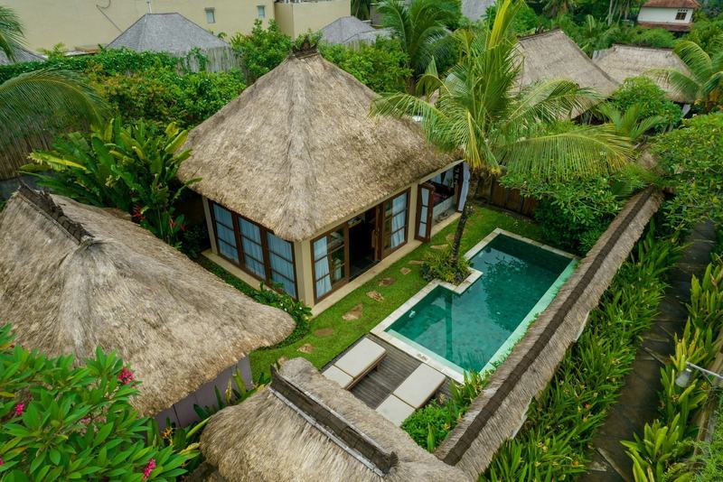 Pool villas among palm trees, aerial view