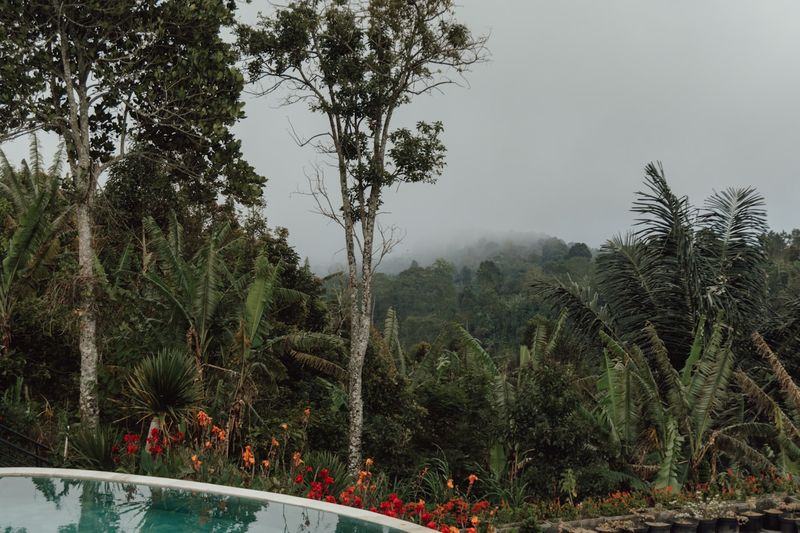 Villa pool in Bali